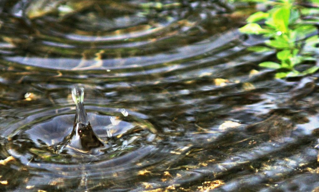 IMAGE: http://i11.photobucket.com/albums/a198/chaman3872/drop.jpg