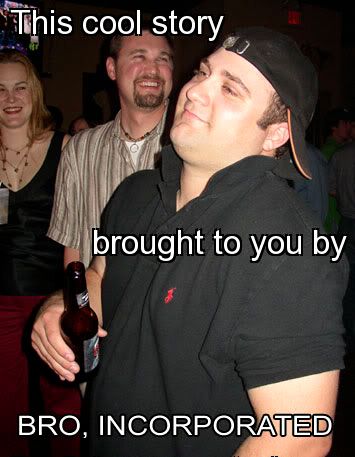 1253748724-Cool_story_bro_inc.jpg