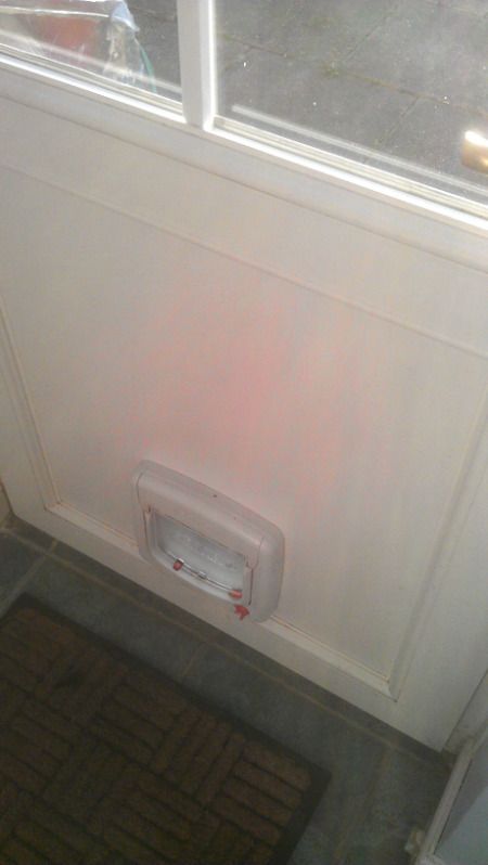 Need To Replace Bottom Door Panel Which Has A Cat Flap In Www