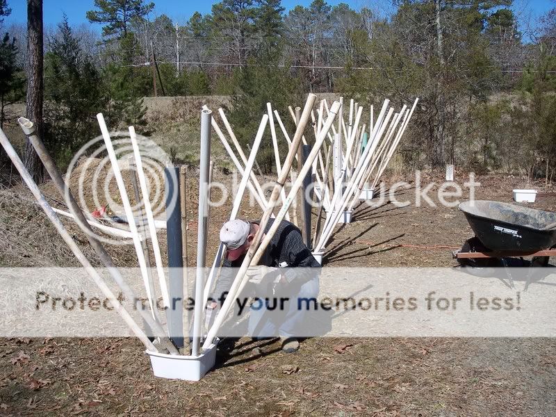 Pvc crappie structure