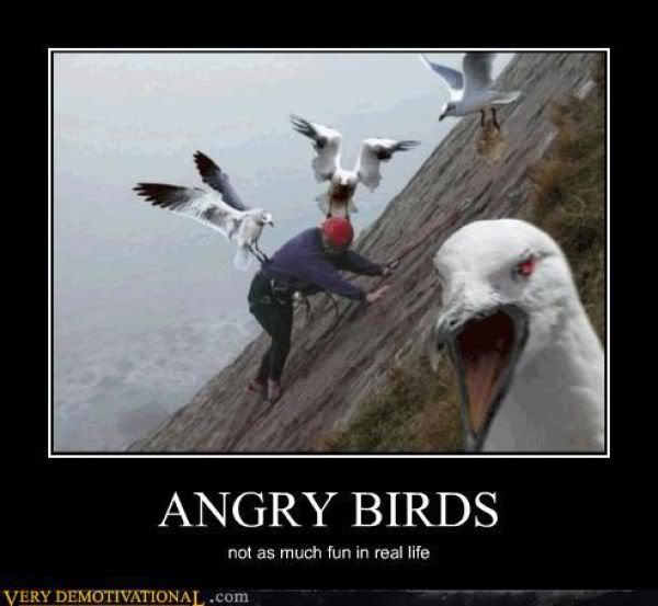 demotivational posters funny Pictures, Images and Photos