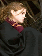 http://i11.photobucket.com/albums/a166/jessie_uk_/Harry%20Potter/HermioneGranger1.gif