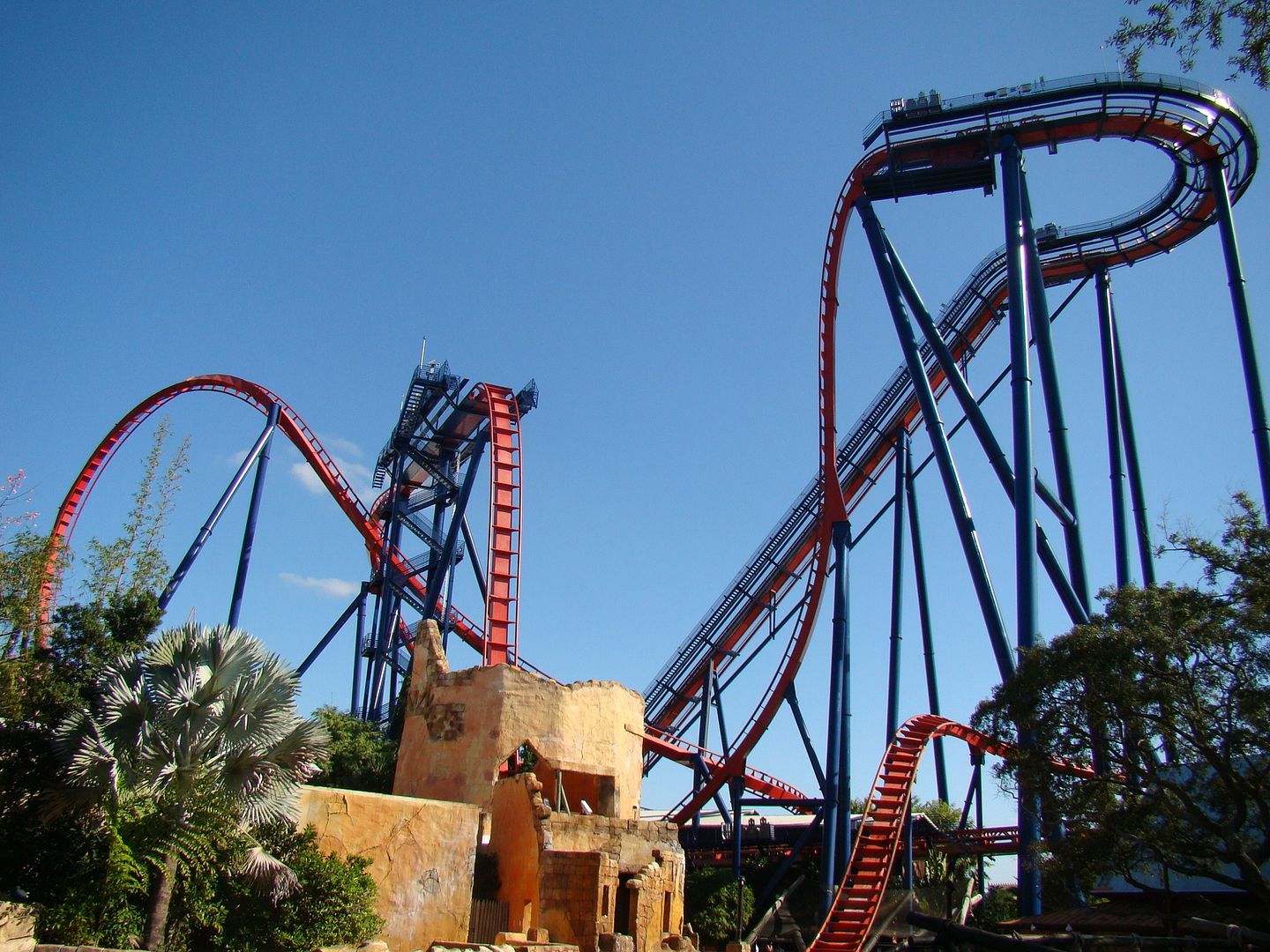  photo busch_gardens_sheikra.jpg