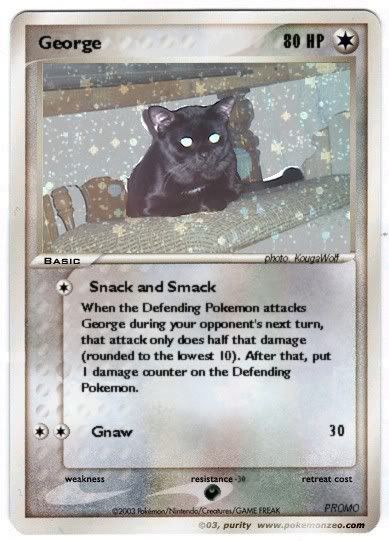 [PokeCommunity.com] Kitty; a real one.