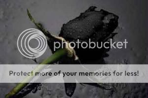 black Pictures, Images and Photos