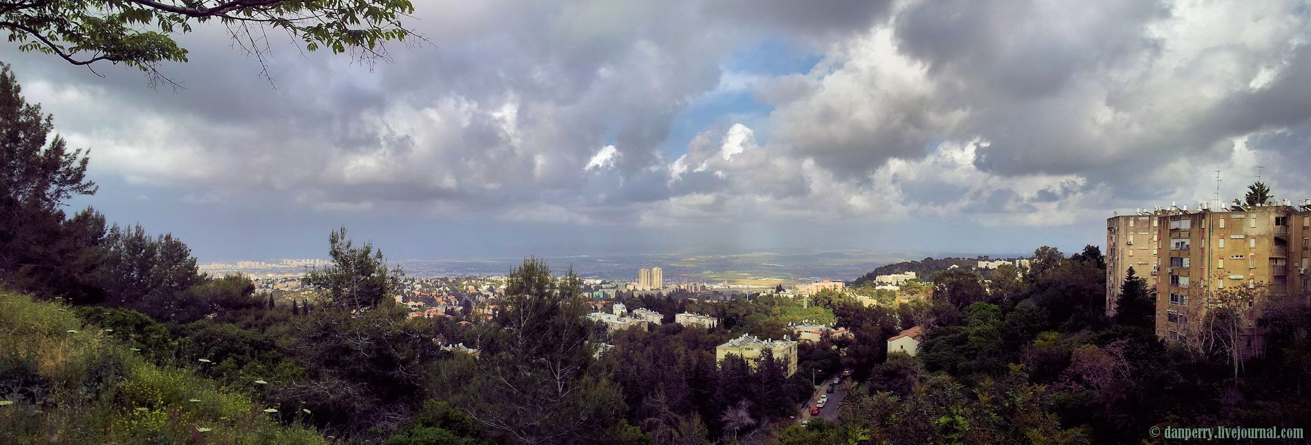 photo Pan-1.jpg