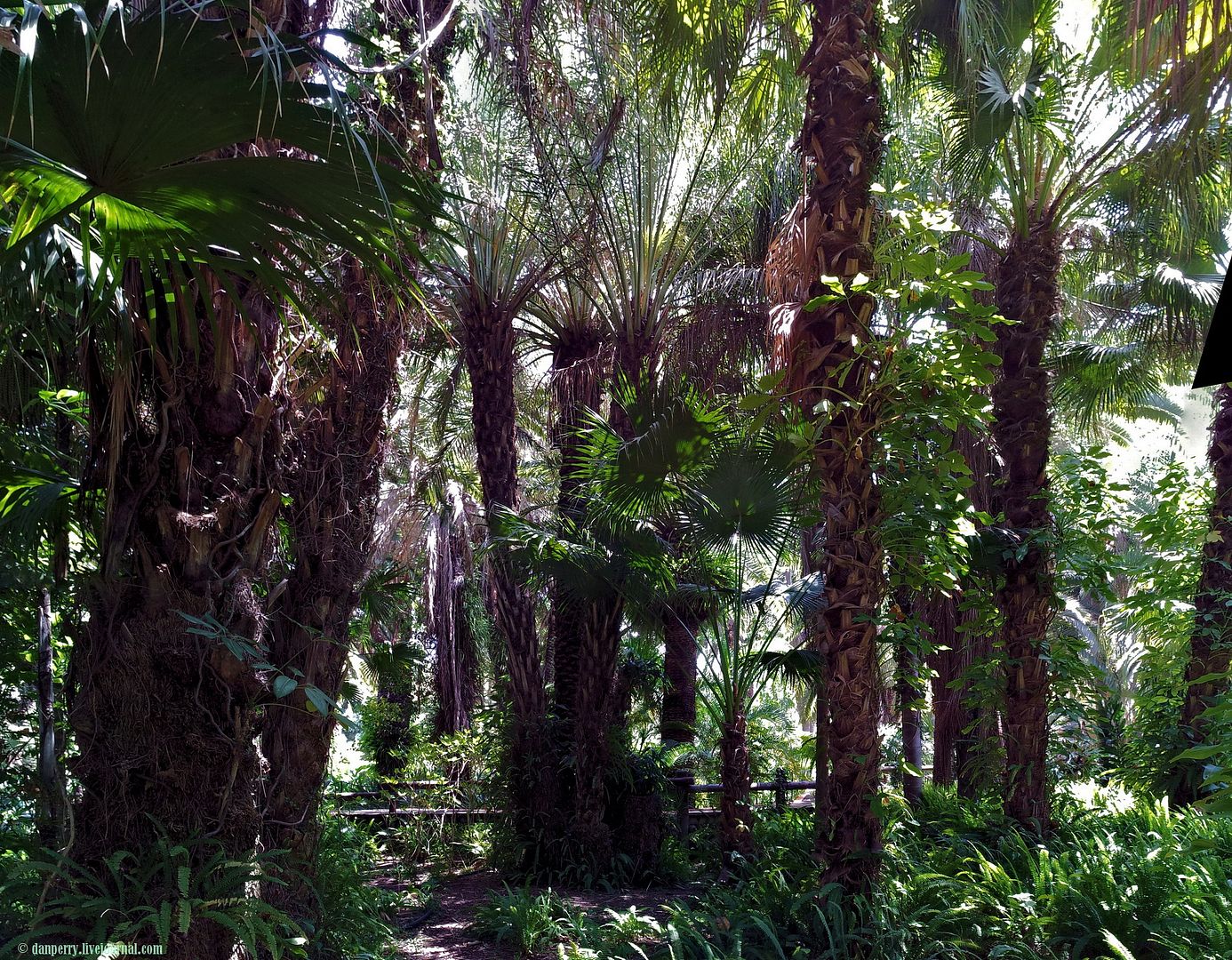 photo 2-Pan-3.jpg