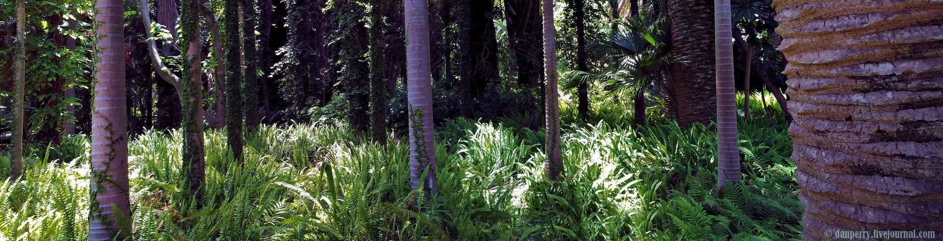 photo Pan-1.jpg
