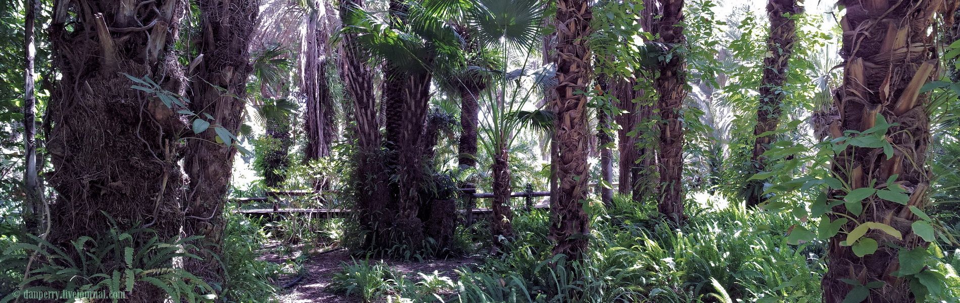 photo Pan-4.jpg