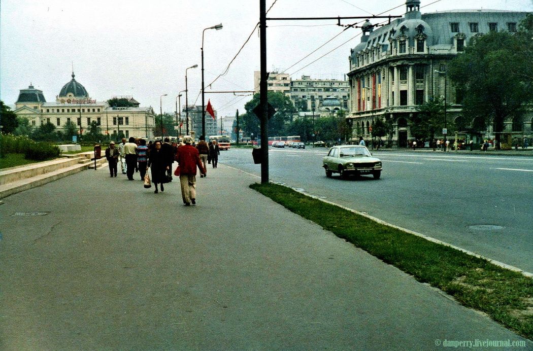 photo Buc1.jpg