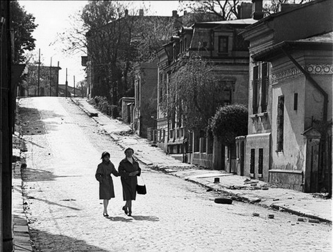 photo Arionoaiei-FotoAndreiPandele-1.jpg