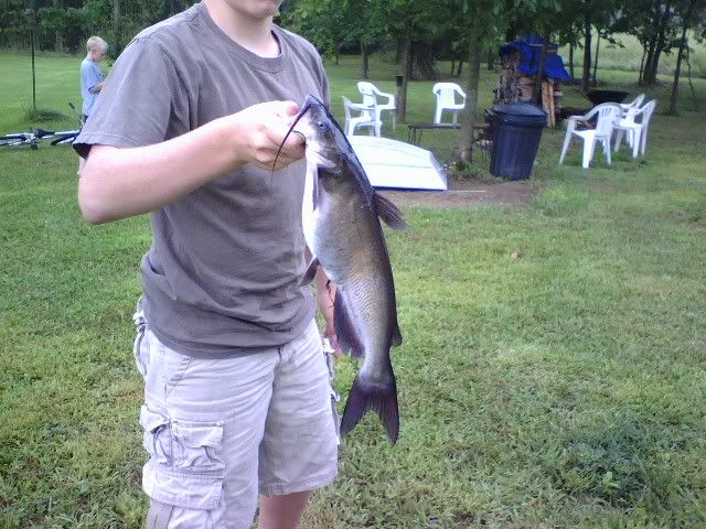 Ohio Pond Stocking with the Georgia Giant Bluegill | Ohio Sportsman ...