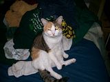 [PokeCommunity.com] Animal Picture Time!