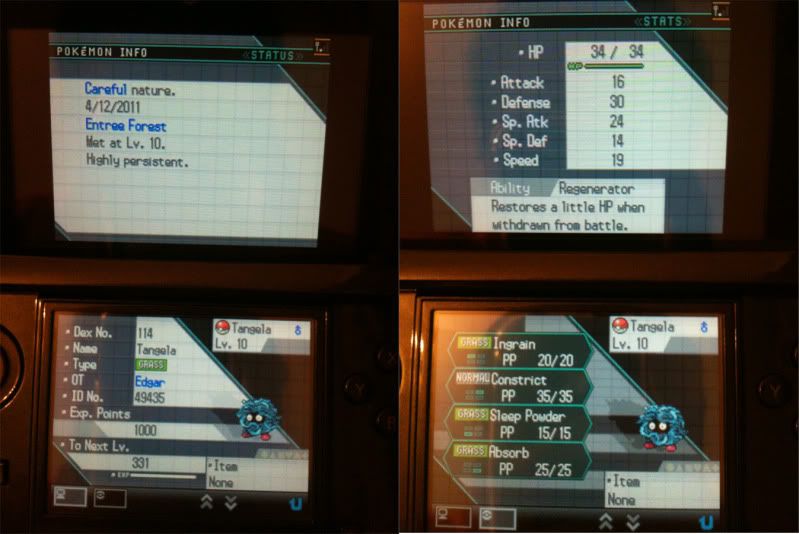 [PokeCommunity.com] Pokemon Dream World Discussion