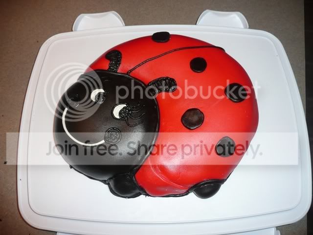 cake,ladybug