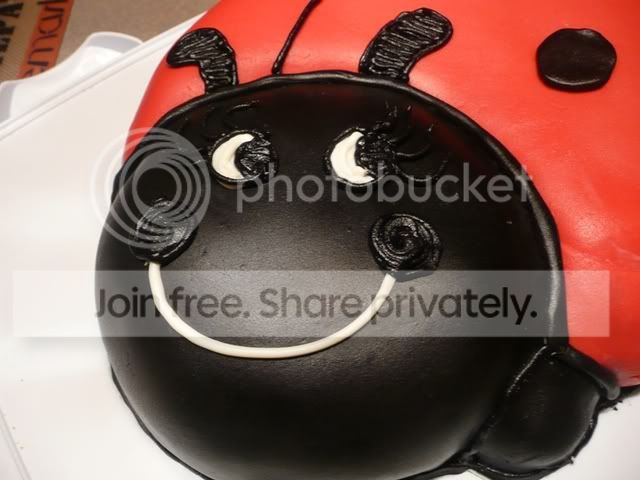 cake,ladybug